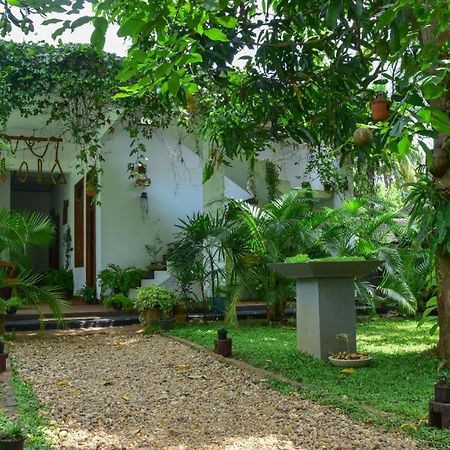 Menara Green Inn Dambulla Kültér fotó