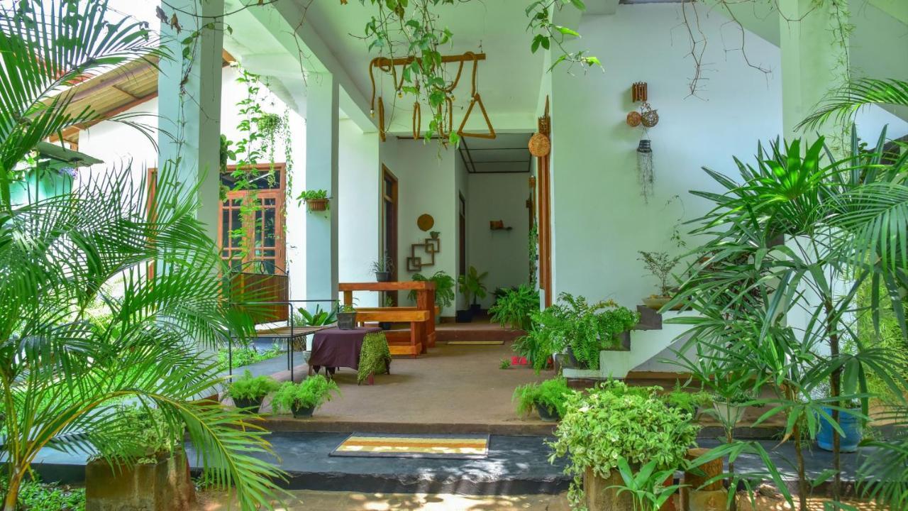 Menara Green Inn Dambulla Kültér fotó