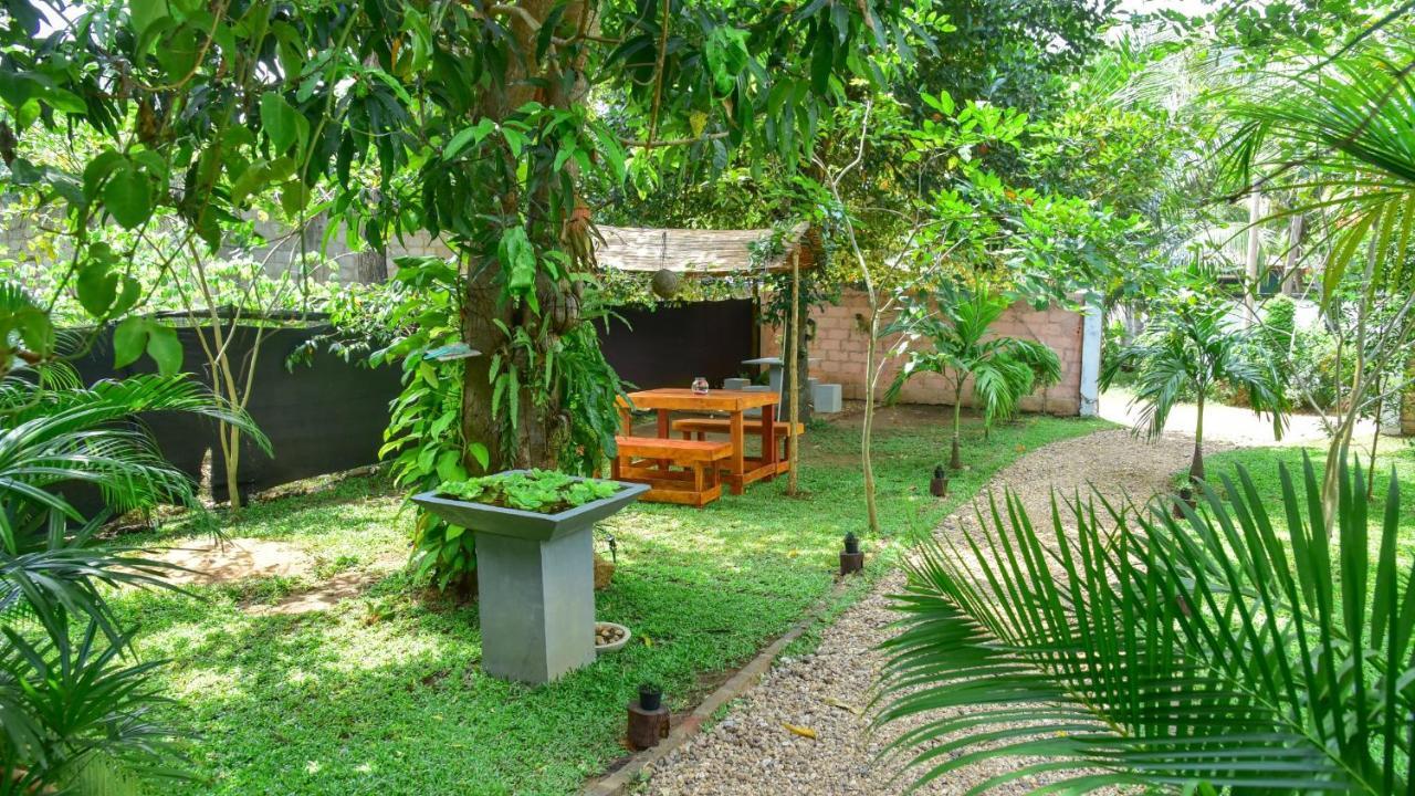 Menara Green Inn Dambulla Kültér fotó