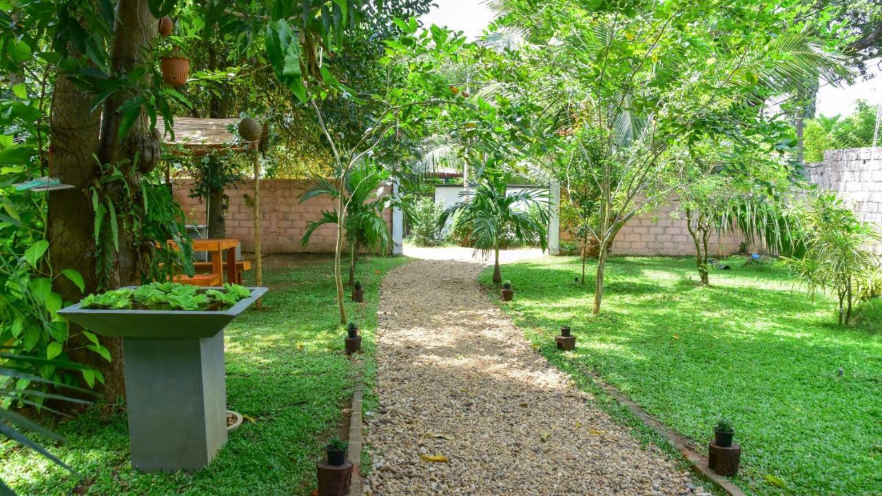 Menara Green Inn Dambulla Kültér fotó