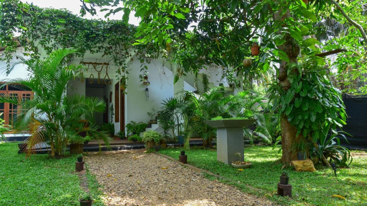 Menara Green Inn Dambulla Kültér fotó